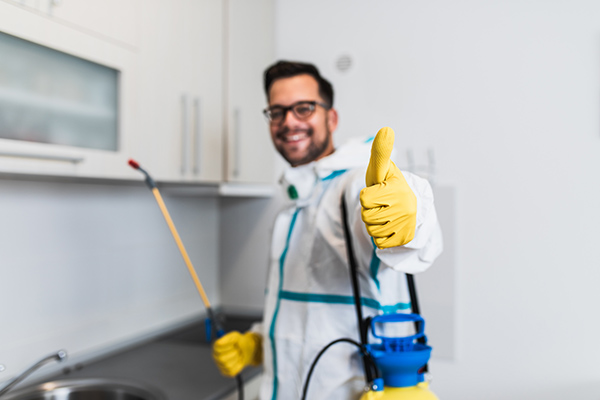 Antiviral-disinfect-service-the-happy-house-cleaning Carpet cleaning